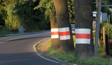 komorowicka