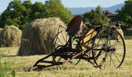 rolnictwo